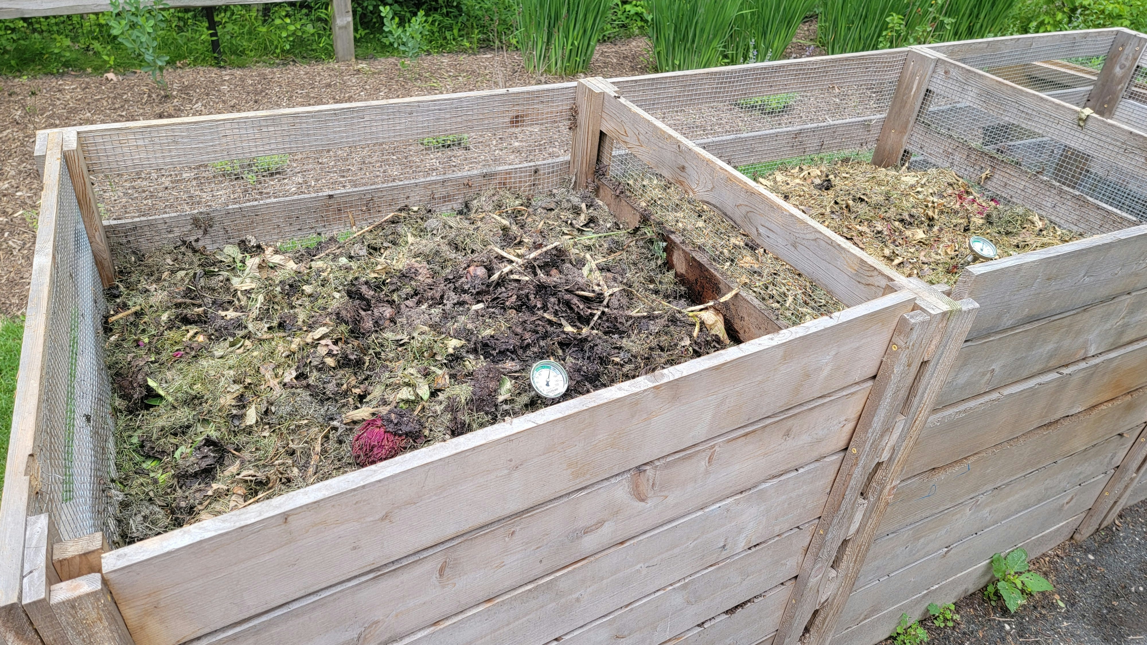 Compost pile on farm